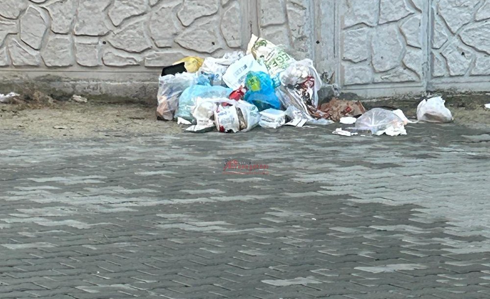 Mahalleli Çöp Konteynırı İstiyor