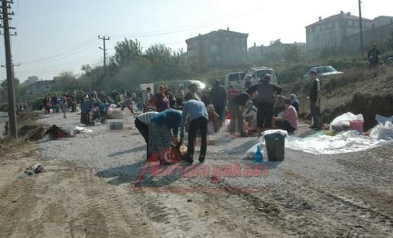 Cezalar Da Caydırmıyor