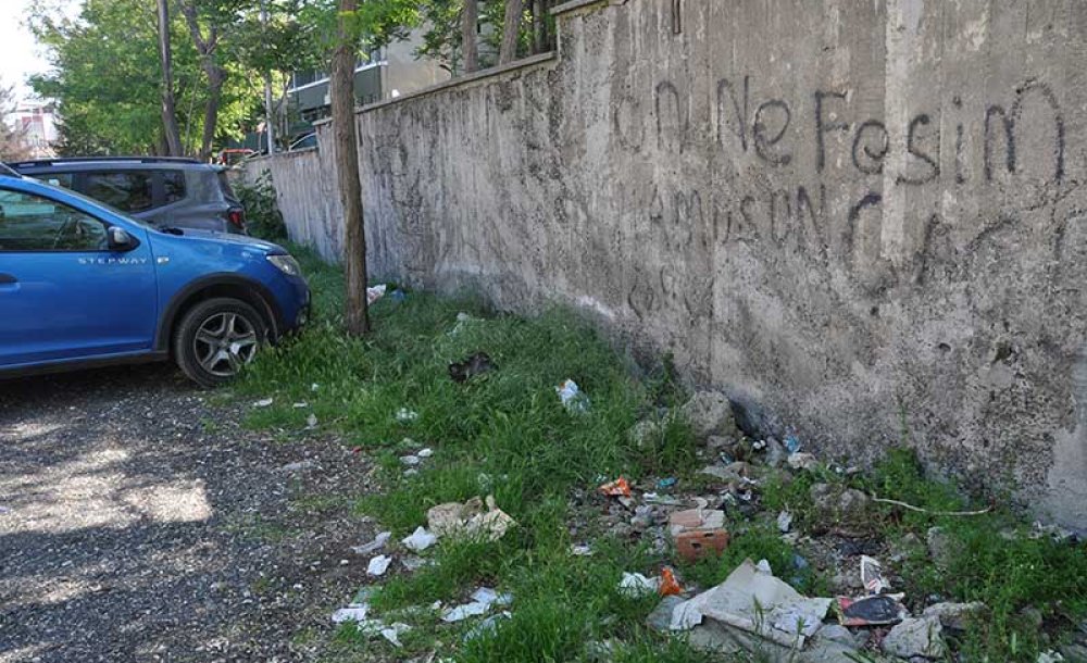 Havalar Isındı Bağımlılar Ortaya Çıktı!