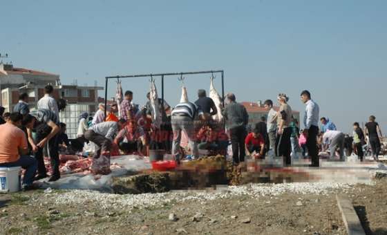 Cezalar Da Caydırmıyor
