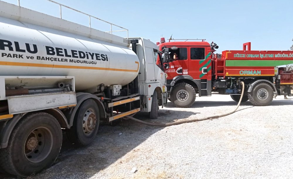 Belediyeden Yangın Söndürme Çalışmalarına Destek