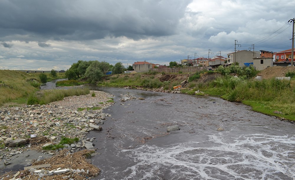 Ergene Nehri Ne Zaman Bu Görüntüden Kurtulacak?