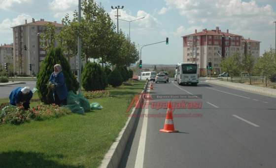 Park Ve Bahçeler Müdürlüğü Ekipleri Çalışmalarını Sürdürüyor