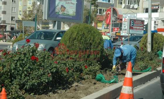 Park Ve Bahçeler Müdürlüğü Ekipleri Çalışmalarını Sürdürüyor