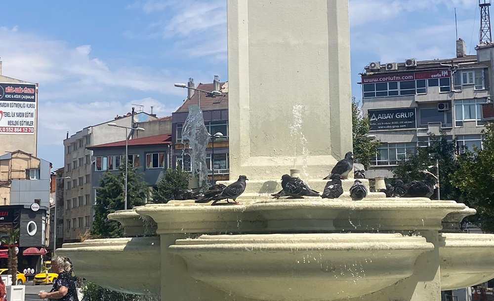 Saatli Havuz Güvercinlere Cansuyu Sağlıyor 