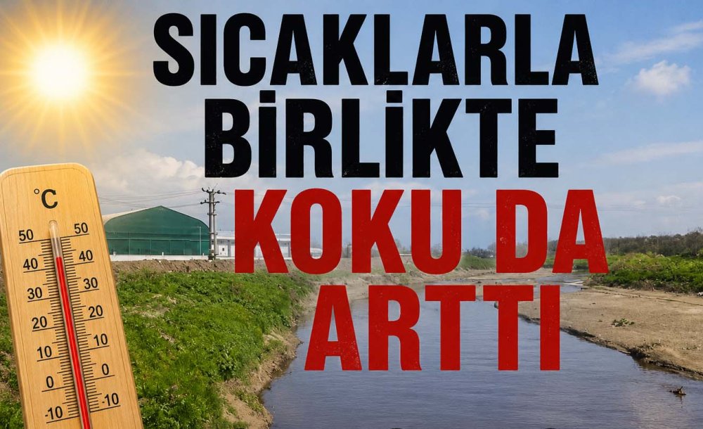 Sıcaklarla Birlikte Kokuda Arttı 