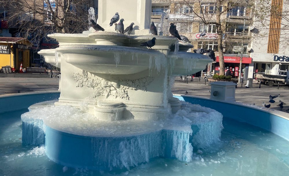 Soğuk Hava Nedeniyle Havuz Buz Tuttu 