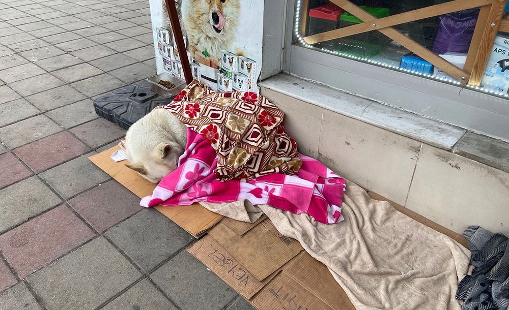 Soğuk Havada Yürekleri Isıtan Hareket