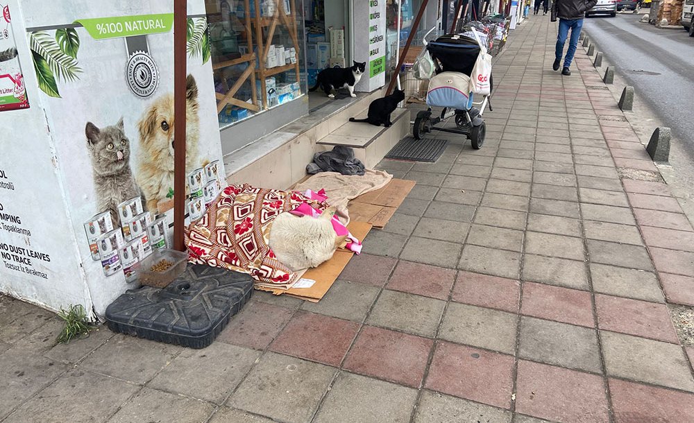 Soğuk Havada Yürekleri Isıtan Hareket