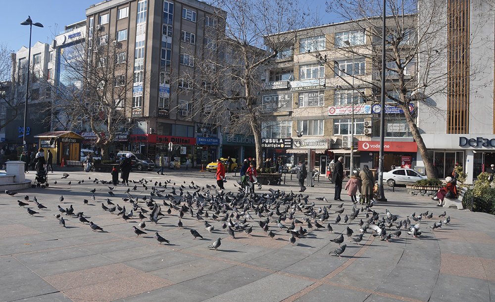 Soğuk Havaların Ardından Güneş Kendini Gösterdi 