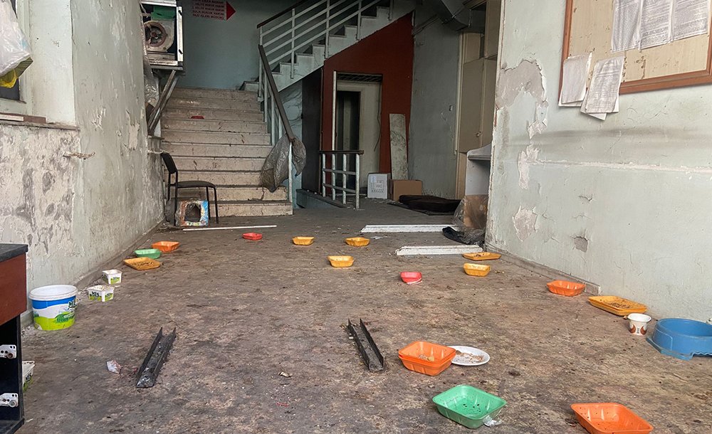 Tarihi Binadaki Görüntüler Dikkat Çekiyor 