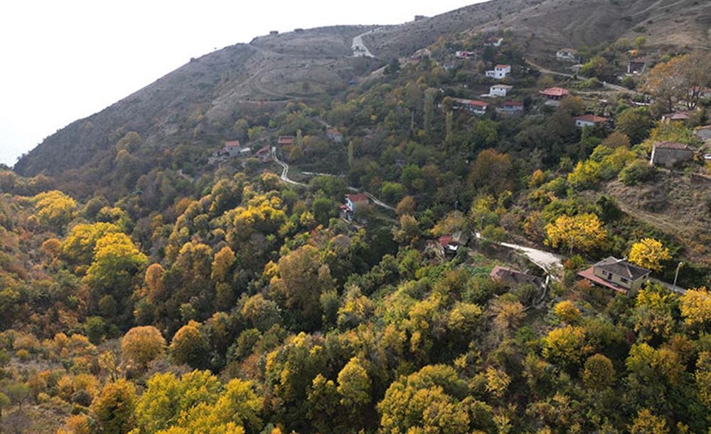 Tekirdağ Genelinde Ormanlara Giriş Yasağı