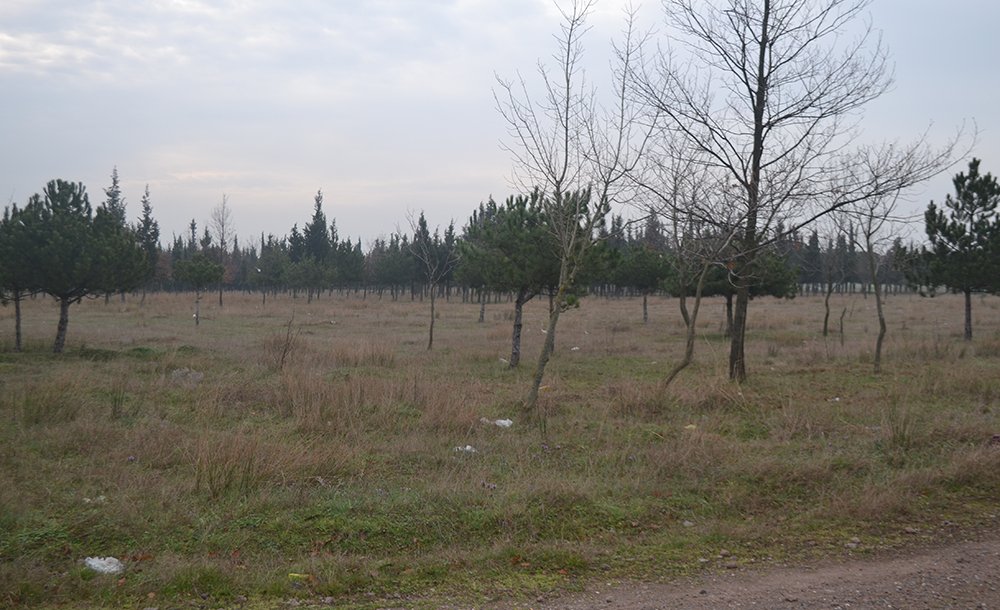 Tema Parki 10 Yildir Yapilmayi Bekli̇yor 