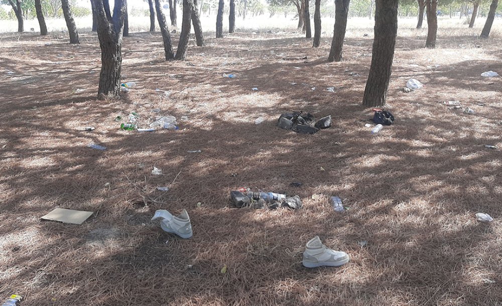 Tema Parki 10 Yildir Yapilmayi Bekli̇yor 