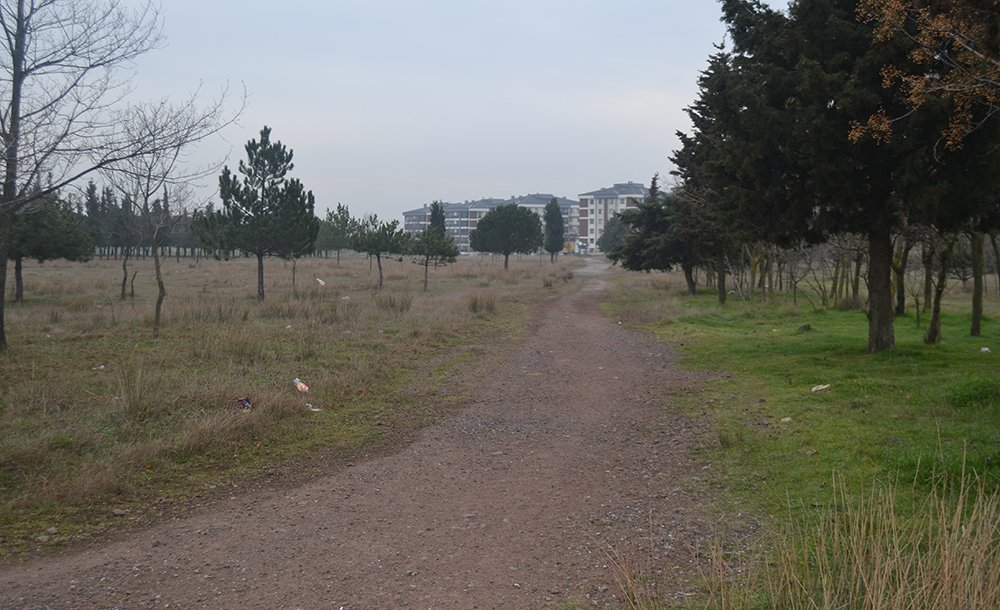 Tema Parki 10 Yildir Yapilmayi Bekli̇yor 