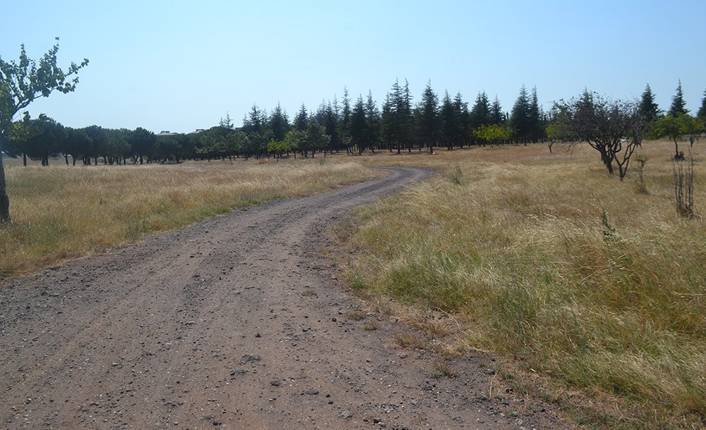 Tema Parki 10 Yildir Yapilmayi Bekli̇yor 