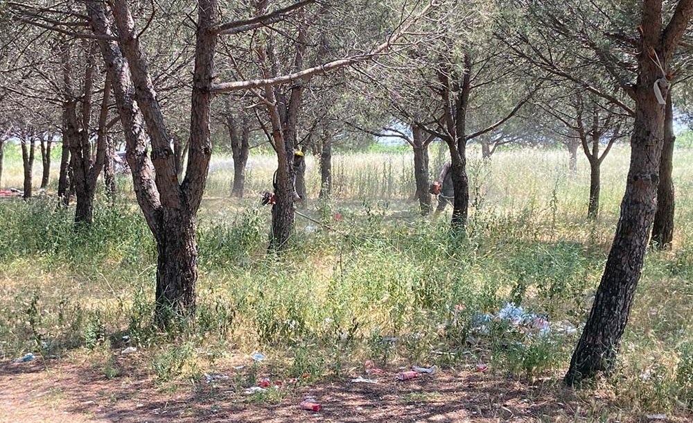 Tema Parki Çorlu'ya Kazandirilsin