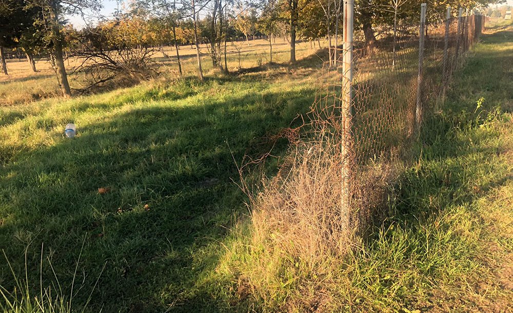 Tema Parkı Ölüyor, Yetkililer İzliyor