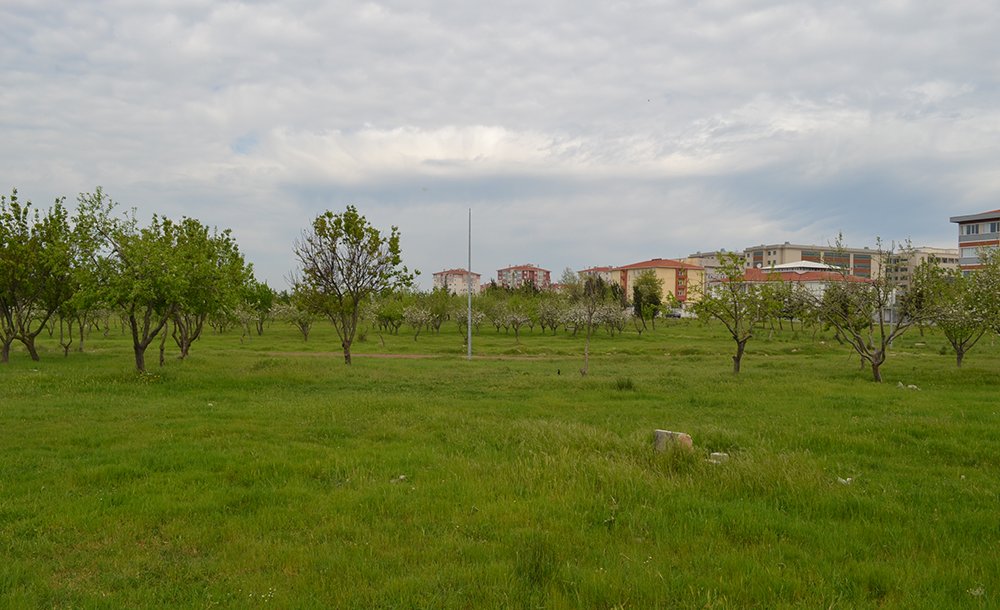 Tema Parkına Ancak Böyle Dikkat Çekilirdi 
