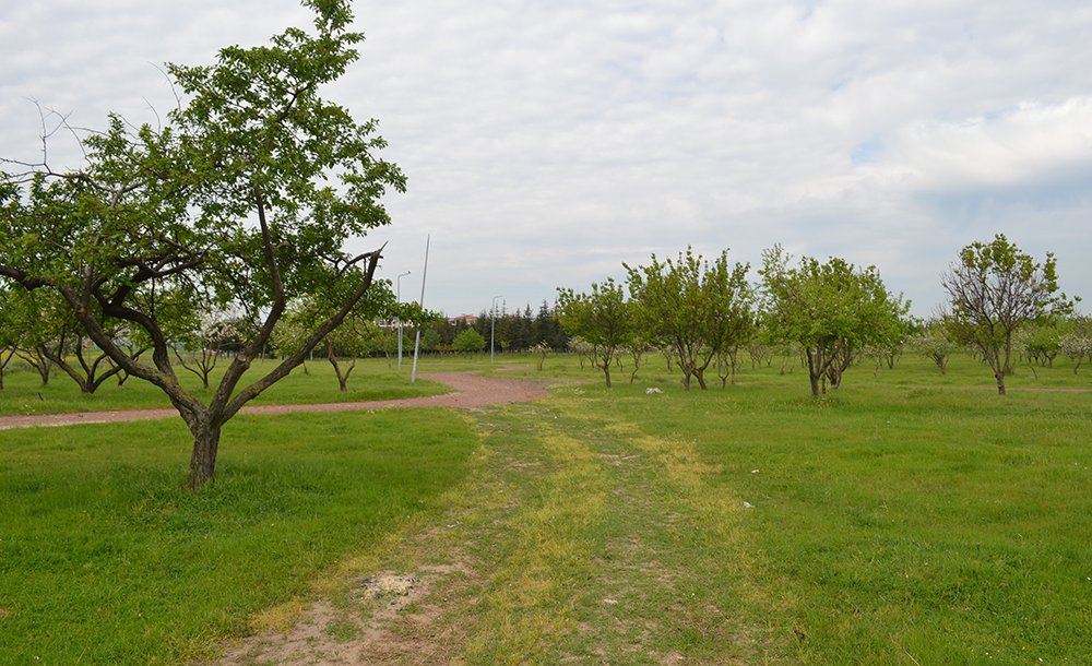 Tema Parkına Ancak Böyle Dikkat Çekilirdi 