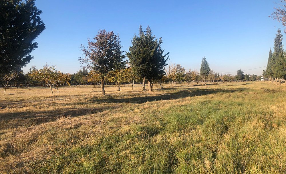 Tema Parkı'na ‘Bahar' Ne Zaman Gelecek?