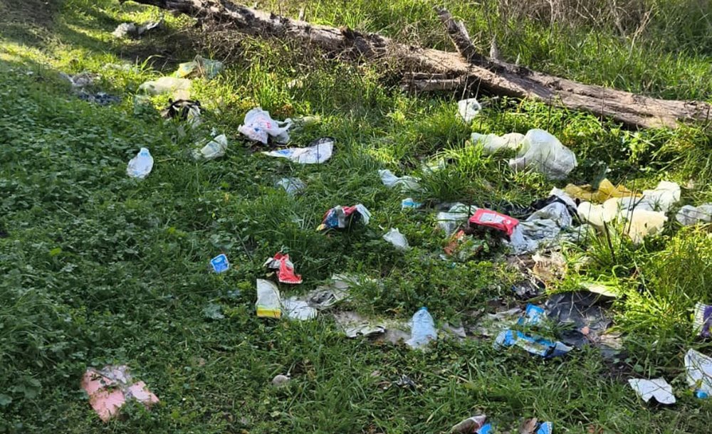 Tema Parkı'nda İstenmeyen Görüntüler 