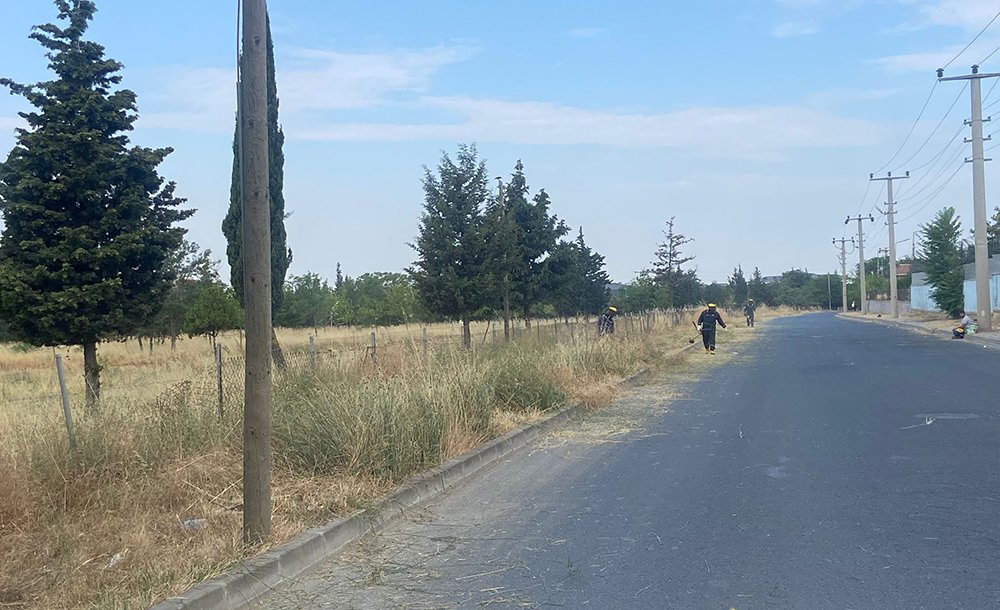 Tema Parkı'nda Otlar Bi̇çi̇ldi̇ 
