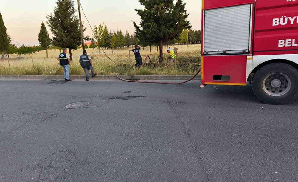 Tema Parkında Yangın Çıktı 