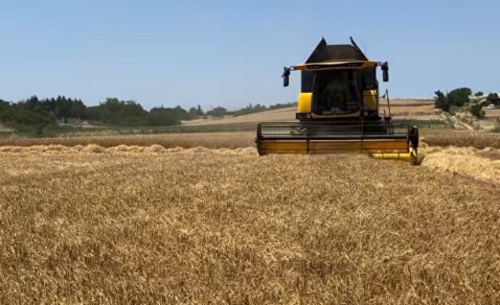 Trakya Çiftçisi Arpa Hasatına Başladı 