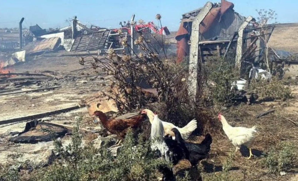  ‘Üreti̇ci̇mi̇zi̇n Yarasını Bi̇rli̇kte Saracağız!'