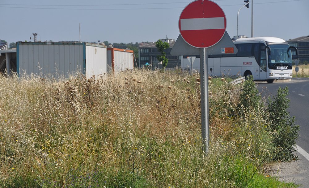 Uzayan Otlar Kazalara Davetiye Çıkartıyor   