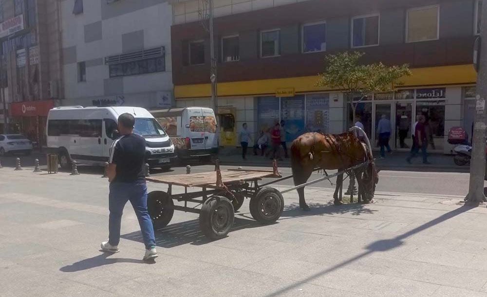 Vatandaşı Şaşkına Çeviren Görüntü 