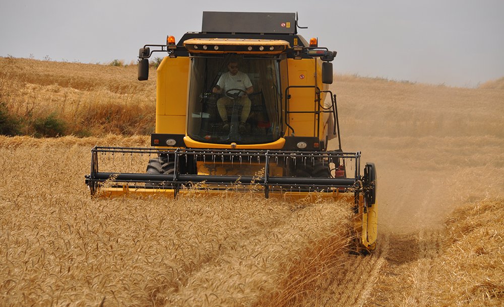 Yağışlar Çiftçiye Cansuyu Oldu