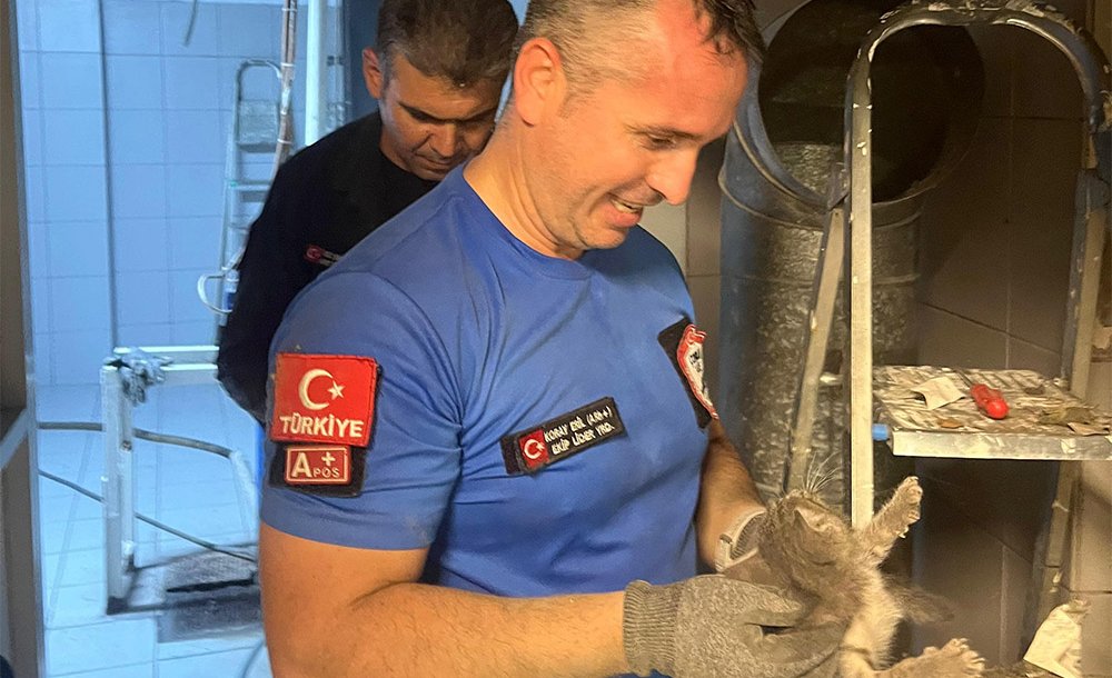 Yavru Kediyi Çorlu Ake Kurtardı