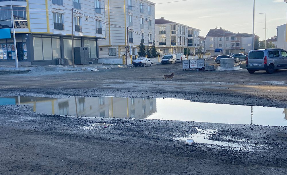 Yol Değil Mayın Tarlası!