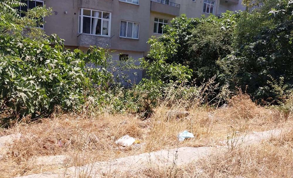 Zamanında Biçilmeyen Otluk Alanlar Bir Bir Yanıyor 