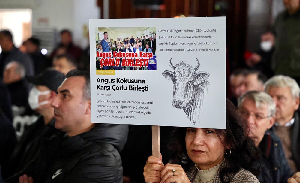 Angus Çiftliğine ‘Hayır' Denildi - 9