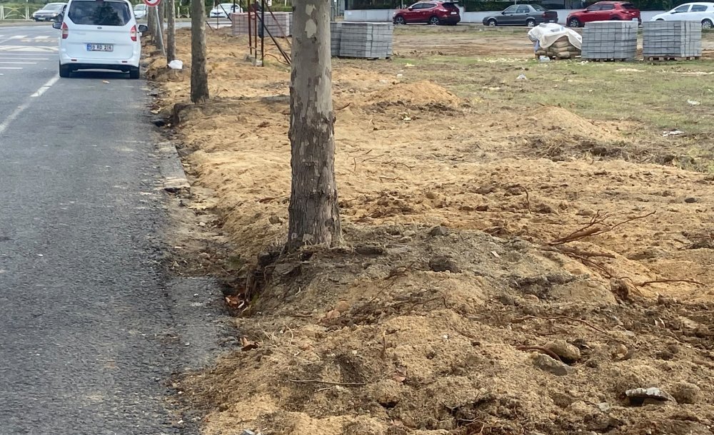 Büyükşehir Önce Zarar Verdi, Sonra Dikkat Etti