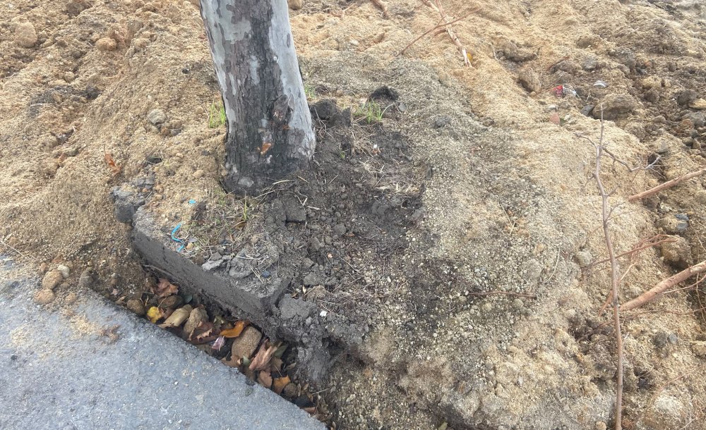 Büyükşehir Önce Zarar Verdi, Sonra Dikkat Etti - 1