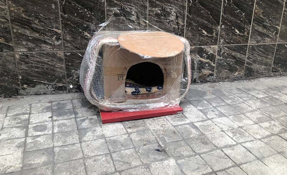 Esnaftan Yürekleri Isıtan Hareket