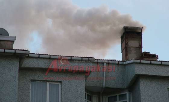 Bacalar Zehir Saçıyor - 2