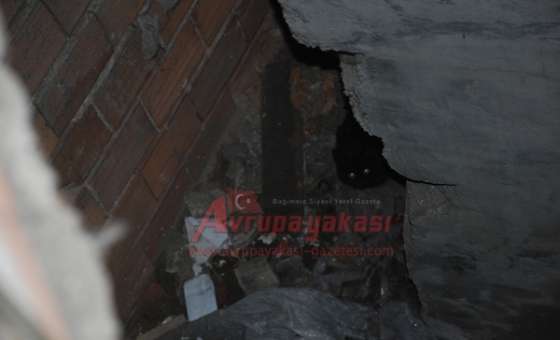 İtfaiyeden Kedi Operasyonu - 1