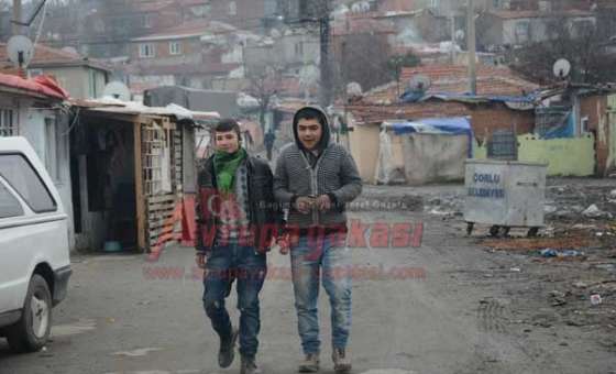 Romanların Kafası Karışık - 4