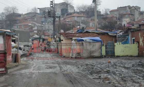 Romanların Kafası Karışık - 5