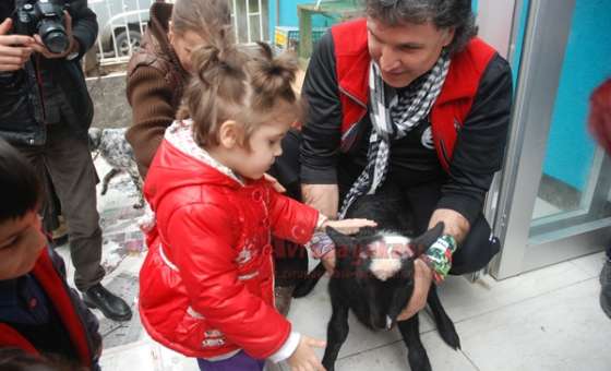 Özel Çocukları Hayvanlarla Buluşturdular - 2