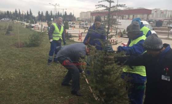 Çorlu Devlet Hastanesi'nde Ağaç Dikim Şenliği