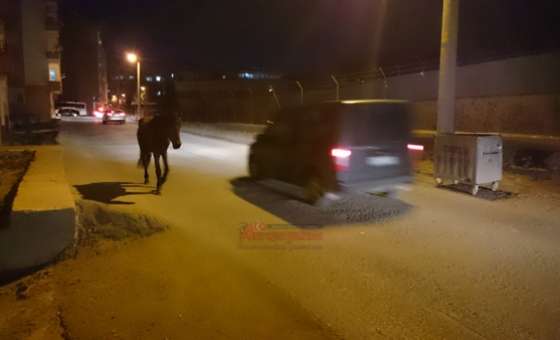 Başıboş At Trafiği Tehlikeye Düşürdü - 1