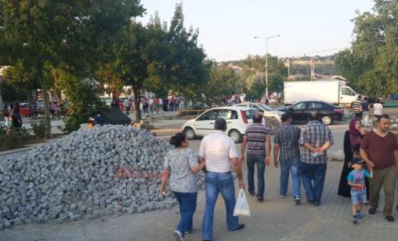 51. Kiraz Curcunası - 1