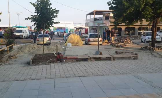 51. Kiraz Curcunası - 4