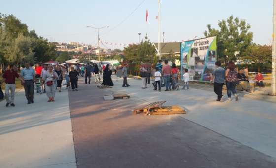 51. Kiraz Curcunası - 8